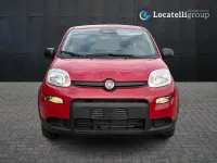 Usata Fiat Panda S 69 CV (50 kW) 2024 Bianco Utilitaria