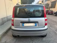Usata Fiat Panda 60 CV (44 kW) 2007 Grigio Utilitaria