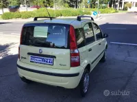 Usata Fiat Panda Dynamic 60 CV (44 kW) 2009 Giallo Utilitaria