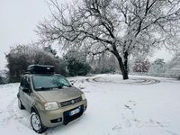 Usata Fiat Panda 4x4 69 CV (50 kW) 2007 Marrone Utilitaria