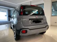 Usata Fiat Panda Cross Cross 71 CV (52 kW) 2021 Grigio Utilitaria