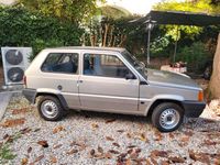 Usata Fiat Panda Young 39 CV (28 kW) 1999 Grigio Utilitaria