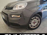 usata Fiat Panda Panda1.0 firefly hybrid City Life s