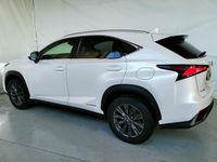 usata Lexus NX300h Hybrid 4WD Luxury