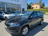 usata Skoda Karoq Karoq 1.6 TDI SCR DSG Executive