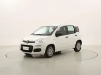 Usata Fiat Panda 69 CV (50 kW) 2020 Bianco Utilitaria