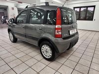 Usata Fiat Panda 4x4 Easy 69 CV (50 kW) 2013 Grigio Utilitaria