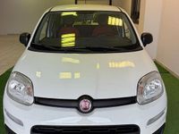 Usata Fiat Panda Easy 69 CV (50 kW) 2020 Bianco Berlina