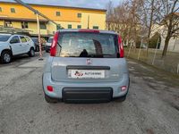 Usata Fiat Panda City Life 69 CV (50 kW) 2022 Other Utilitaria