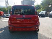usata Fiat Panda 1.0 FireFly S&S Hybrid Red nuovo