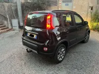 Usata Fiat Panda 4x4 75 CV (55 kW) 2013 Utilitaria