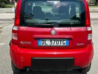 Usata Fiat Panda 60 CV (44 kW) 2008 Rosso Utilitaria