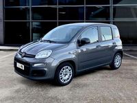 Usata Fiat Panda 70 CV (51 kW) 2021 Grigio Utilitaria