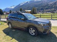 Usata Subaru Forester 150 CV (110 kW) 2021 Grigio SUV