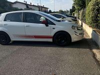 Usata Fiat Punto Dynamic 80 CV (58 kW) 2014 Utilitaria