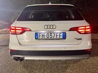 Usata Audi A4 Allroad Business 272 CV (200 kW) 2017 Bianco Station wagon