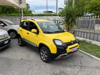 Usata Fiat Panda Cross Cross 84 CV (61 kW) 2020 Giallo Utilitaria