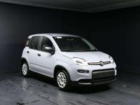 Usata Fiat Panda S 69 CV (50 kW) 2023 Grigio Berlina