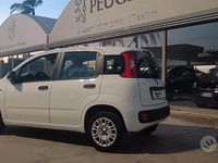 Usata Fiat Panda Easy 69 CV (50 kW) 2019 Bianco Berlina