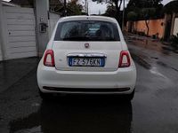 Usata Fiat 500 Pop 69 CV (50 kW) 2019 Bianco Utilitaria