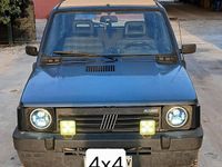 Usata Fiat Panda 4x4 Club 50 CV (36 kW) 1993 Verde Utilitaria