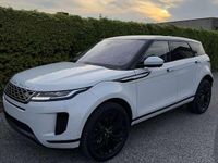 Usata Land Rover Range Rover evoque S 200 CV (147 kW) 2020 Bianco SUV