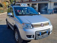 Usata Fiat Panda 4x4 Climbing 75 CV (55 kW) 2012 Grigio Utilitaria