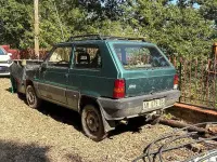 Usata Fiat Panda 4x4 Club 54 CV (39 kW) 1996 Verde Utilitaria