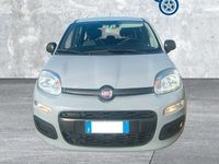Usata Fiat Panda S 70 CV (51 kW) 2021 Grigio Utilitaria