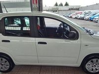 Usata Fiat Panda Pop 69 CV (50 kW) 2020 Bianco Berlina
