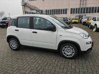 Usata Fiat Panda S 69 CV (50 kW) 2024 Bianco Utilitaria