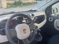 Usata Fiat Panda 75 CV (55 kW) 2013 Utilitaria