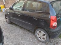 Usata Kia Picanto 2008 Nero Utilitaria