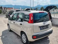 Usata Fiat Panda Easy 69 CV (50 kW) 2014 Beige Utilitaria
