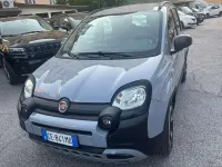 Usata Fiat Panda Cross Cross 69 CV (50 kW) 2021 Grigio Utilitaria