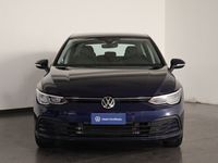 usata VW Golf VIII 1.0 tsi life 110 cv usata