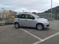 Usata Fiat Panda Pop 69 CV (50 kW) 2020 Grigio Utilitaria