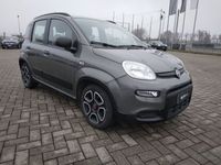 usata Fiat Panda Cross 1.0 FireFly S&S Hybrid City del 2021 usata a Alessandria