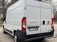 Usata Fiat Ducato 160 CV (117 kW) 2019 Other Furgone