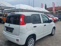 Usata Fiat Panda Easy 69 CV (50 kW) 2018 Bianco Utilitaria