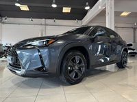 Usata Lexus UX 250h 184 CV (135 kW) 2024 Grigio scuro SUV