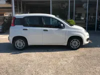 Usata Fiat Panda Dynamic 75 CV (55 kW) 2012 Bianco Utilitaria