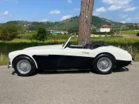 Usata Austin Healey 100/6 1957 Bianco Cabrio