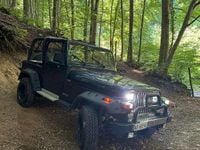 Usata Jeep Wrangler Limited 184 CV (135 kW) 1994 Blu/azzurro SUV