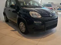 Usata Fiat Panda S 69 CV (50 kW) 2024 Nero Utilitaria