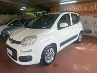 Usata Fiat Panda Lounge 80 CV (58 kW) 2017 Bianco Utilitaria
