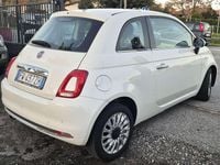 Usata Fiat 500 Collezione 69 CV (50 kW) 2019 Other Utilitaria