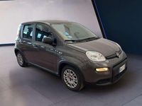 Usata Fiat Panda S 69 CV (50 kW) 2023 Other Utilitaria