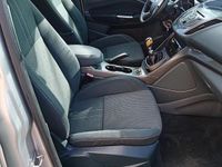 Usata Ford C-MAX Titanium 116 CV (85 kW) 2014 Grigio Monovolume