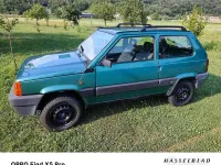 Usata Fiat Panda 4x4 54 CV (39 kW) 2003 Verde Utilitaria